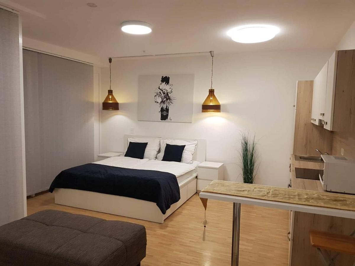 Central Lg Studio Free Parking Грац Экстерьер фото