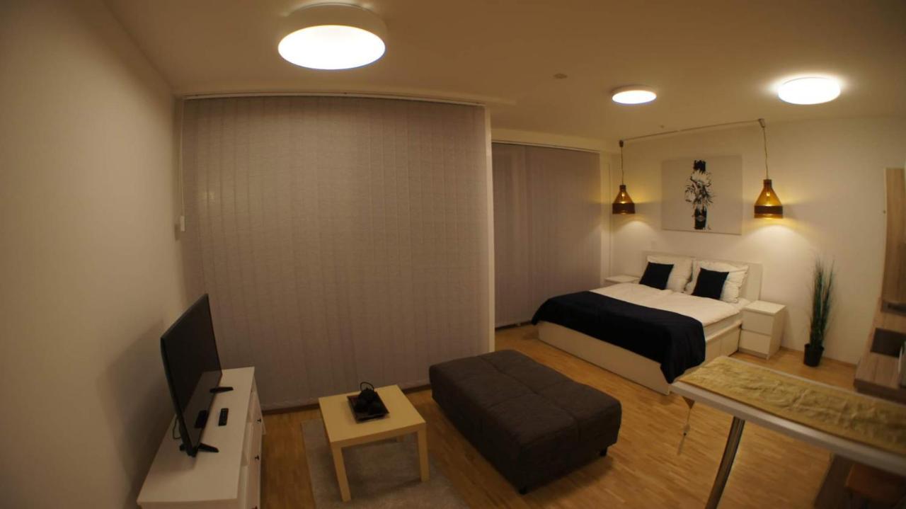 Central Lg Studio Free Parking Грац Экстерьер фото